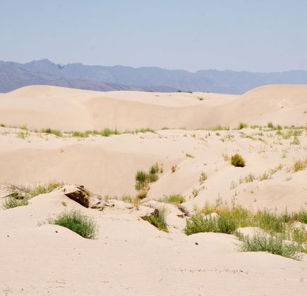 Dunas de Bilbao 1