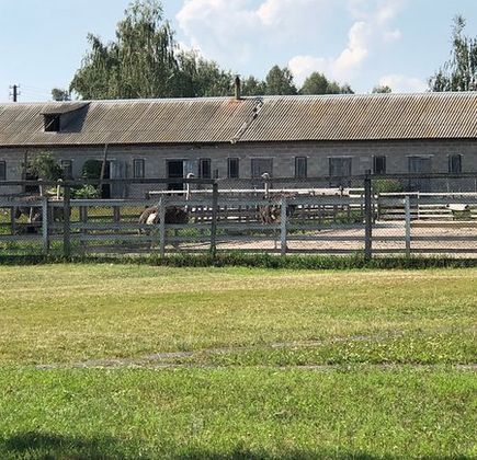 Ostrich Farm Dolina Strausov 1