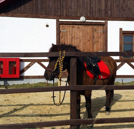 Horse-Riding School Abrau-Durso 1