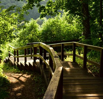 Nature Park Tsimlyanskiye Peski 1