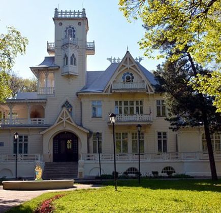 Art-Exhibition Complex Country House of Bashenin 1