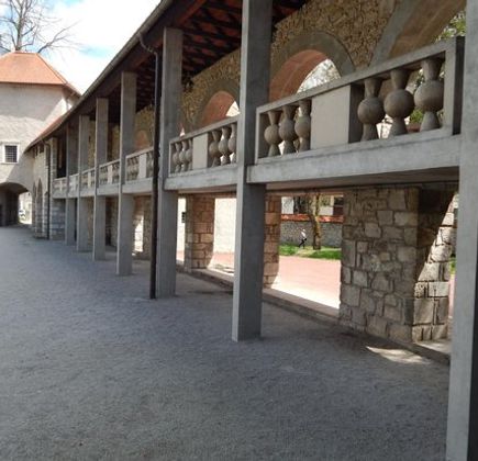 Ribnica Castle and Museum 1