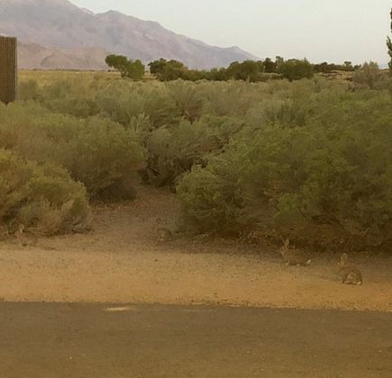 US-395 Division Creek Rest Stop 1