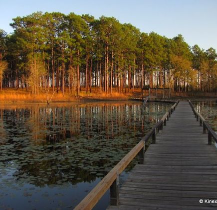 Lake Seminole Park 1
