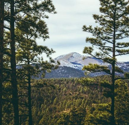 Lincoln National Forest 1