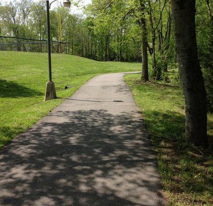 Moss-Wright Park 1
