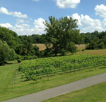 Manatawny Creek Winery 1