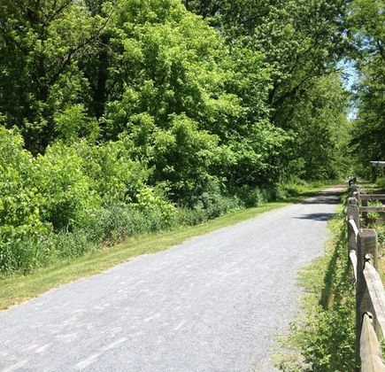Lower Trail 1