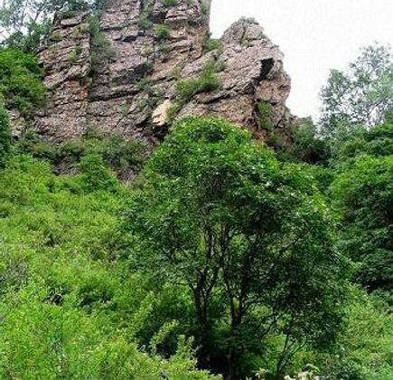 Maojing Dam Forest Park 1