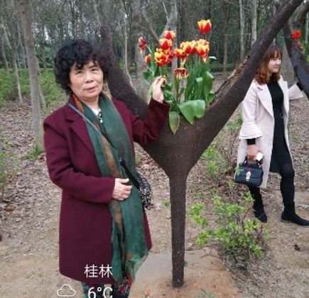 Kaiyuan Forest Park 1