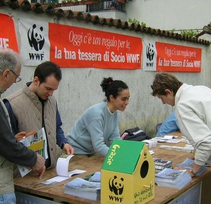 Bosco Wwf di Vanzago 1