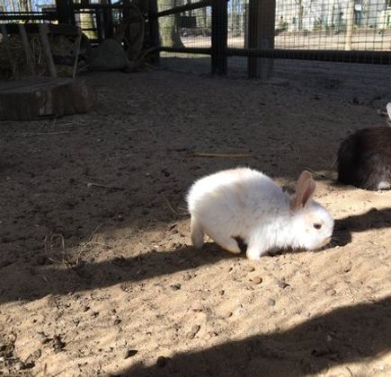 Tierpark Wolgast 1