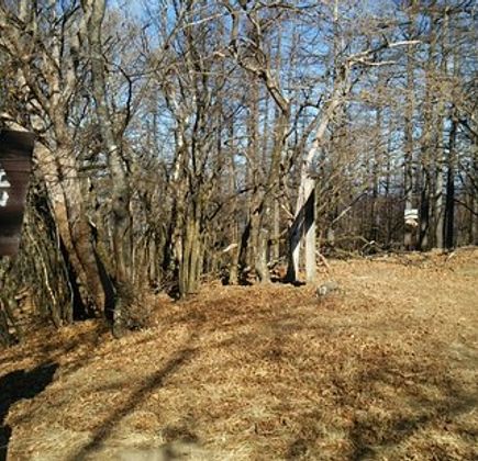 Mt. Takegawa 1