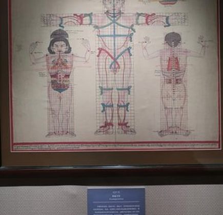 Museum of China Tibetan Medicine Culture 1