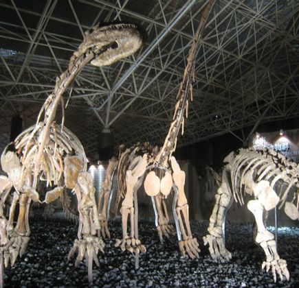 Lufeng Dinosaur Valley 1