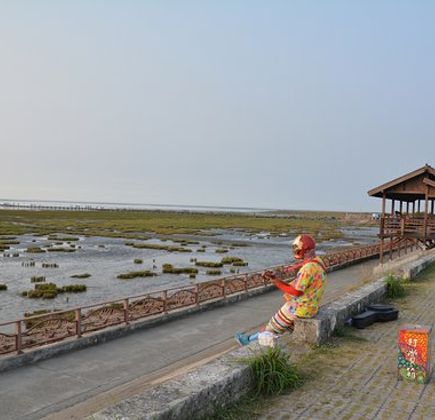 Gaomei Wetland 1