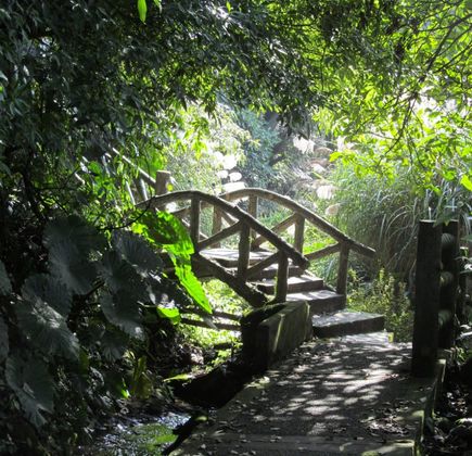 Yangmingshan National Park 1