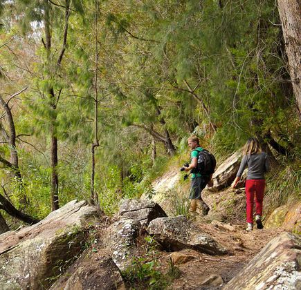 Silin walking trail 1