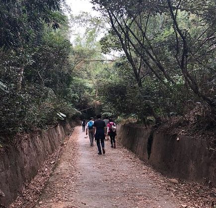 Fongbo Hike Trail 1