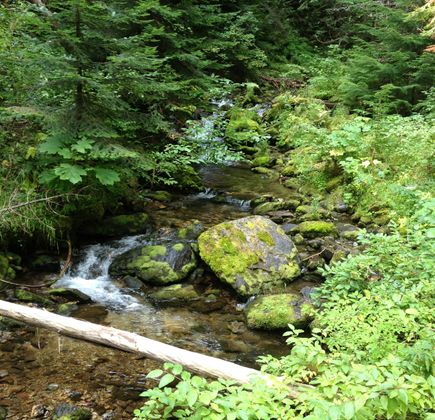 Pulaski Tunnel Trail 1