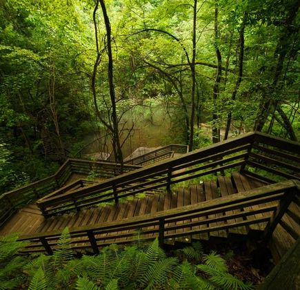 Devil's Millhopper Geological State Park 1
