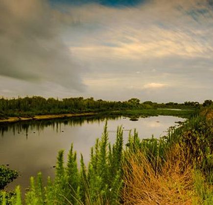 Paynes Prairie 1