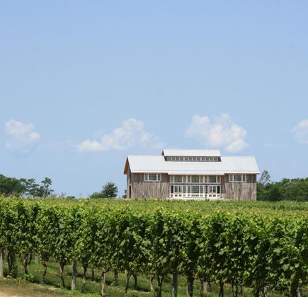 Kontokosta Winery 1