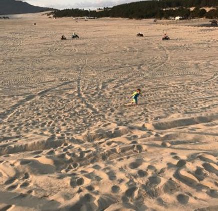 Sandlake Recreation Area 1
