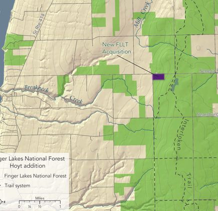 Finger Lakes National Forest 1
