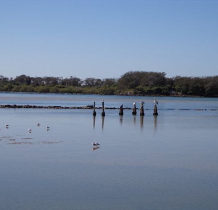 Bellinger Heads State Park 1