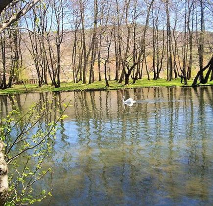 Driloni National Park 1