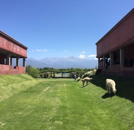 Ernesto Catena Vineyards 1