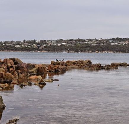 Parnkalla Walking Trail 1