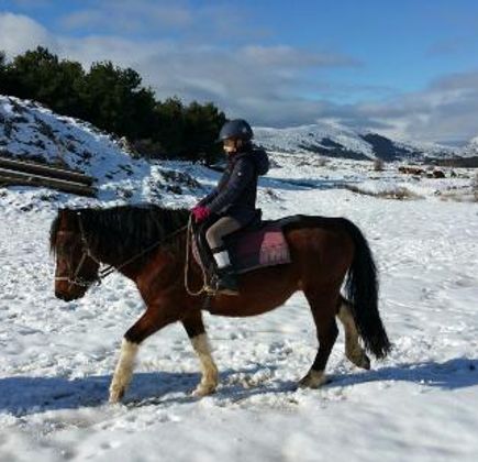 Magic Poney 1