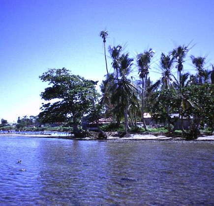 Rio Colorado 1
