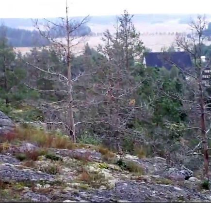 Krejansberget 1