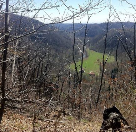 I Sentieri delle Volpi d'Invo - MTB Trails 1
