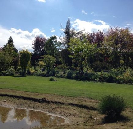 Giardino Botanico di Villa Bricherasio 1