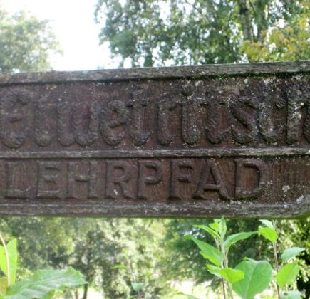 Elwetritscheweg Dahn 1