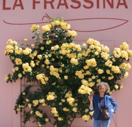 La Frassina 1