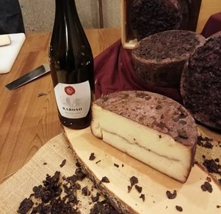 Cantina Pizzolato Organic Wine since 1991 1