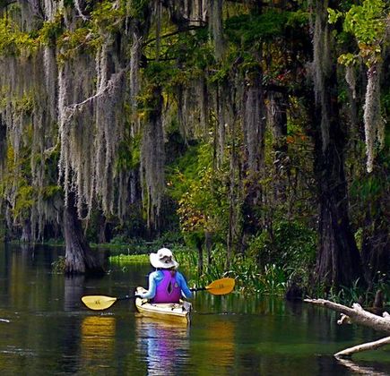 Lower Wekiva River State Preserve 1