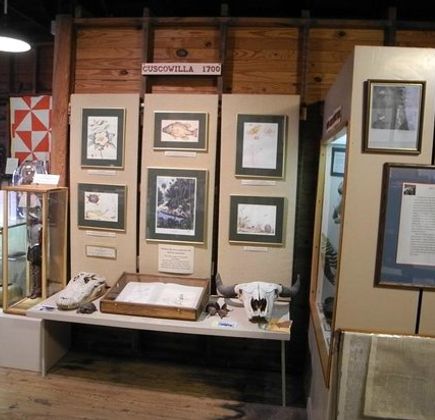 Micanopy Historical Society Museum 1