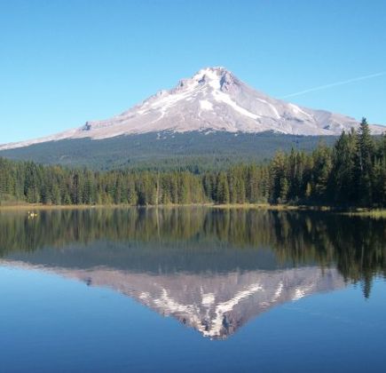 Mount Hood National Forest 1