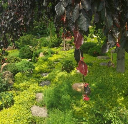 Schnormeier Gardens 1