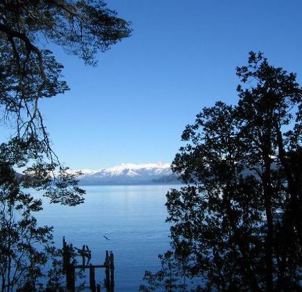 Bosque de Arrayanes 1