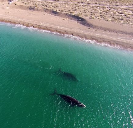 Playa El Doradillo 1