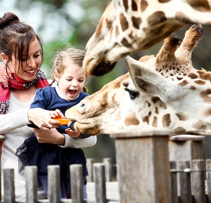 Taronga Western Plains Zoo 1