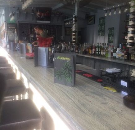 Iguana Pool Bar 1