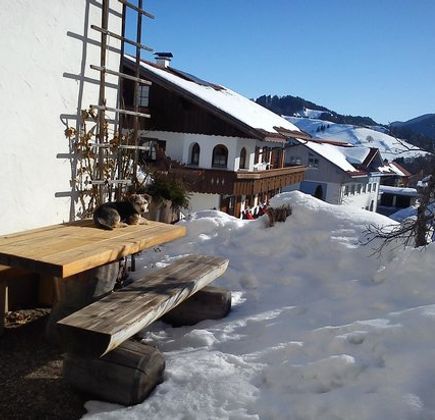 Imberg / Skiarea Steibis 1